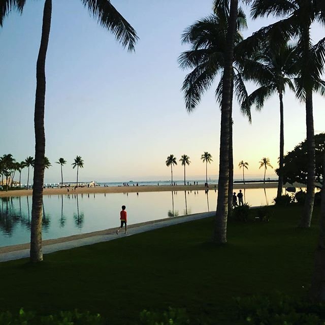 Beach, lagoon, beach, ocean - and all through a prison of palms. It’s a metaphor for life or something. Cuz I’m an artist.